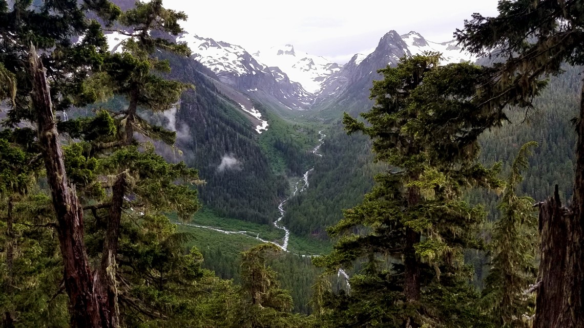 Hoh river hike best sale