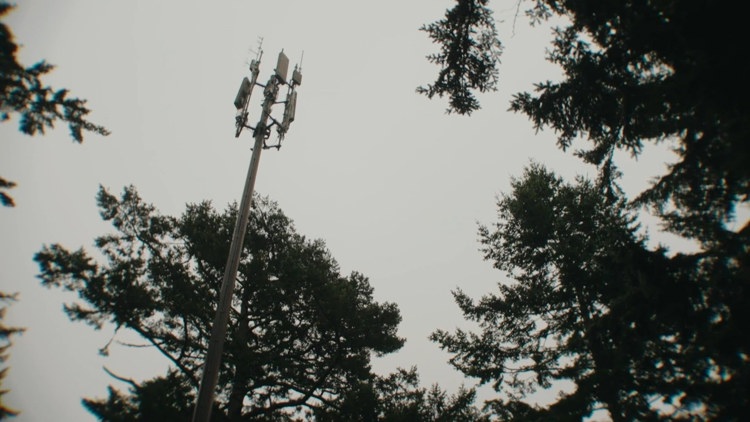 Tower of trouble: 120-foot cell tower appears on couple's property uninvited
