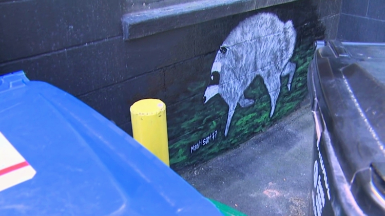 Viral raccoon 'Jimothy' inspires mural, tattoos and Seattle proclamation