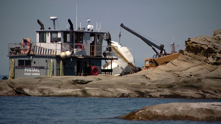 Witnesses to Sucia Island plane crash jumped into action moments later