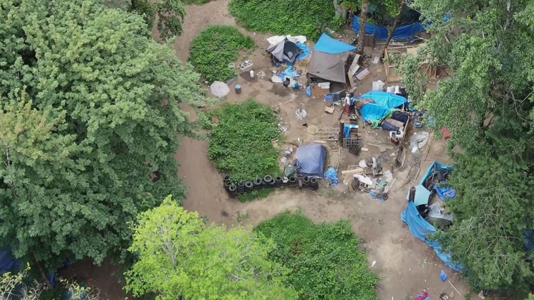 Olympia's 'Jungle' encampment is a long-standing public safety concern, locals say