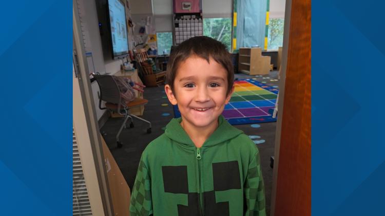 6-year-old boy dies after being hit by falling driftwood