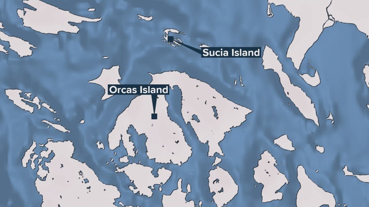 Here's how the NTSB will conduct their investigation into the Kenmore Air floatplane crash in San Juan Islands