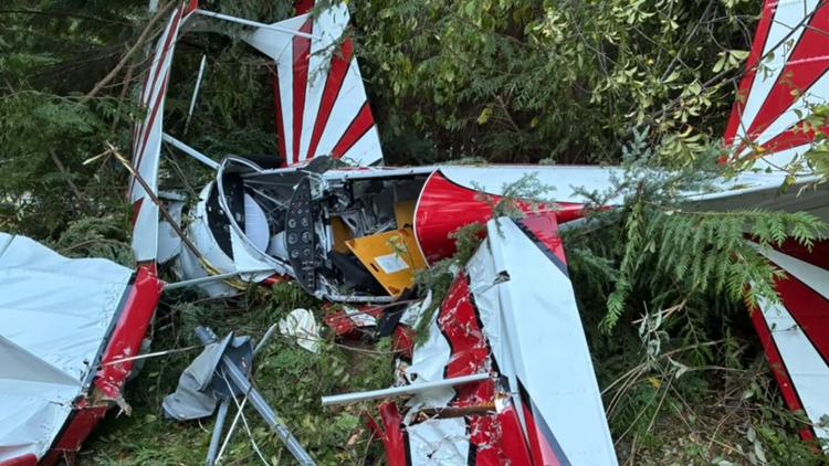 Single-engine plane crashes into backyard, nearly hits family, propane tank