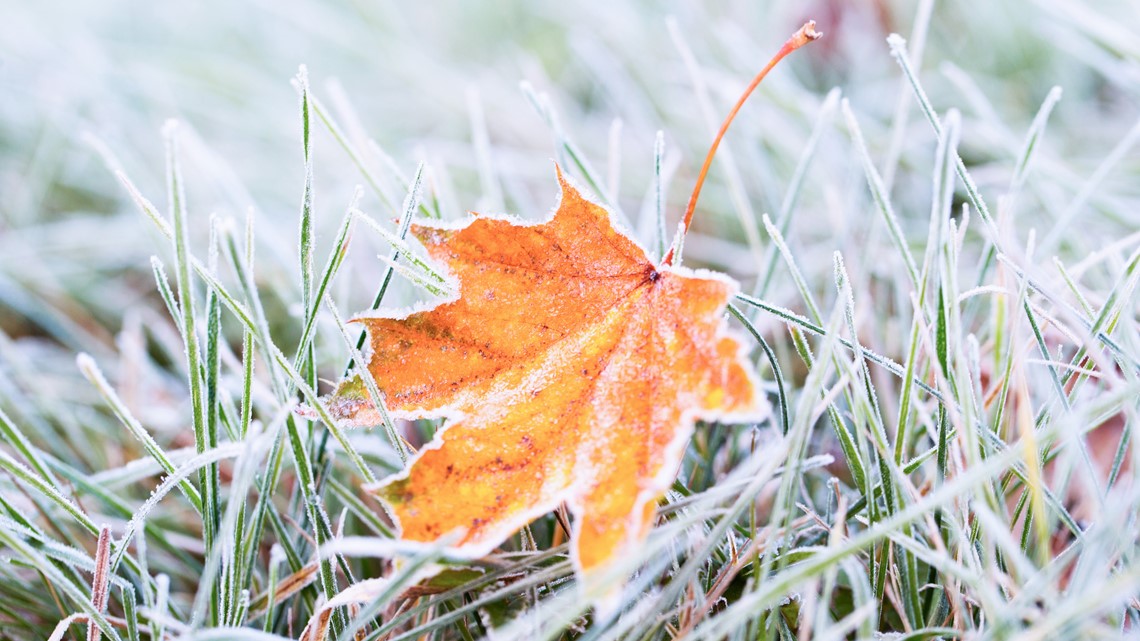 Frost and freeze conditions are expected across Iowa Wednesday