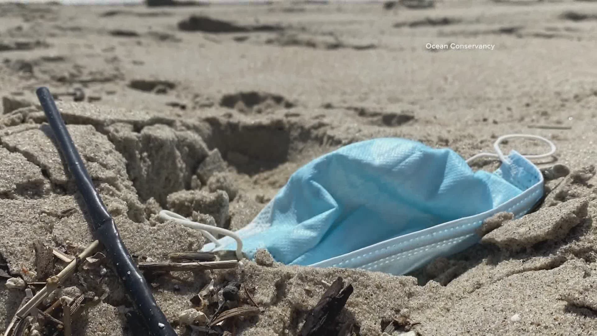Disposable face masks and other PPE are becoming an emerging source of microplastic pollution not just in Washington state, but around the globe.