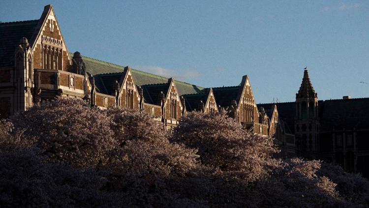 Washington universities release 2025 rape statistics
