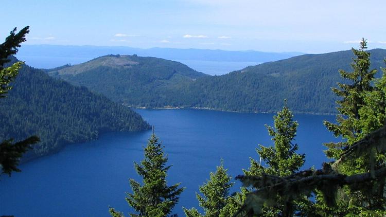 Hiker found deceased on popular Olympic National Park trail