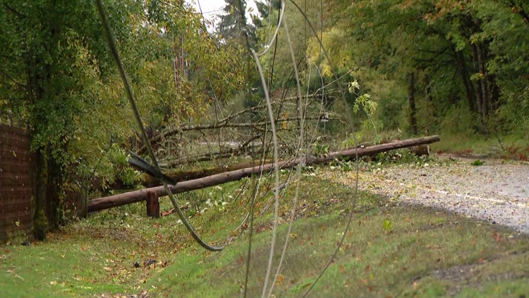Over 60,000 without power as strong winds hit western Washington