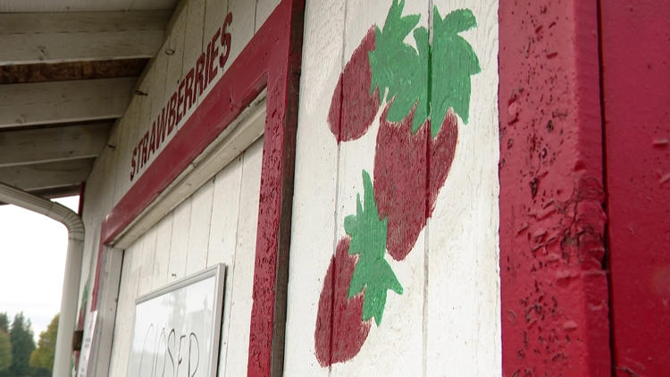 Berry farm owners in Olympia looking to city council to keep stand open