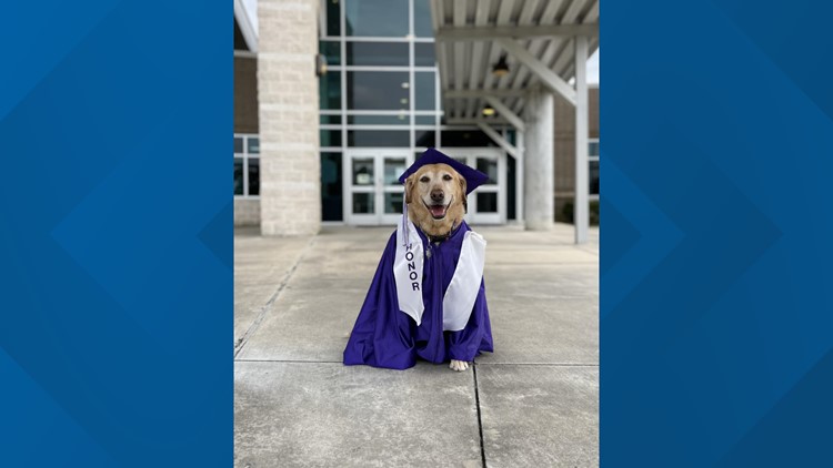 'She has more than earned her feather': Service dog graduates from middle school with honors