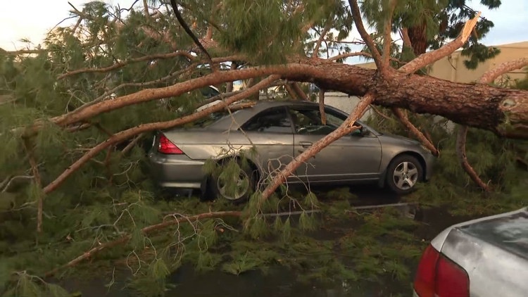 Here's how much rainfall hit the Phoenix area this week