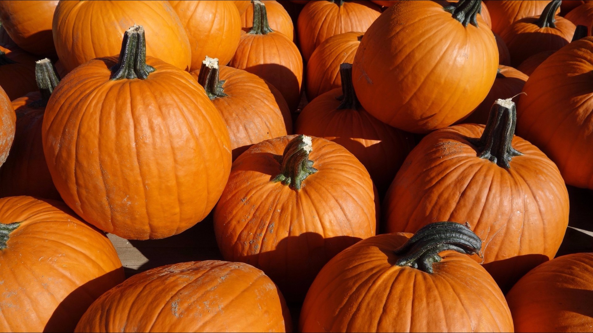 Nutritionist Kara Swanson (Life Well Lived) shares some ideas for high-fiber pumpkin snacks. 