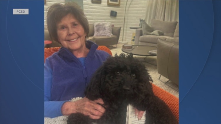 'TODAY' host Savannah Guthrie gives statement on missing 84-year-old mother as sheriff says her house is a 'crime scene'