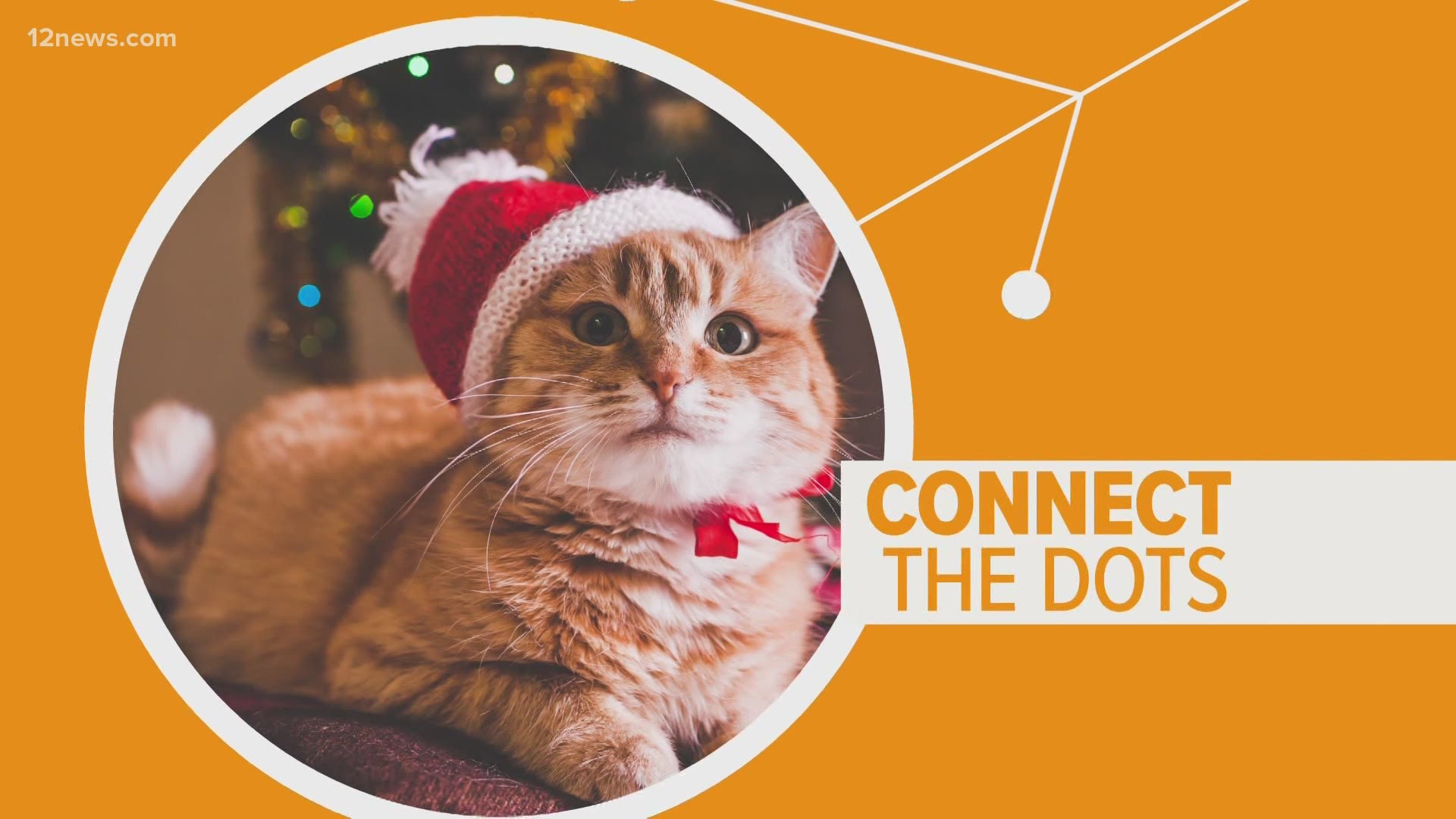 There are a few things we need to keep in mind to make sure we keep our pets safe during the holidays.