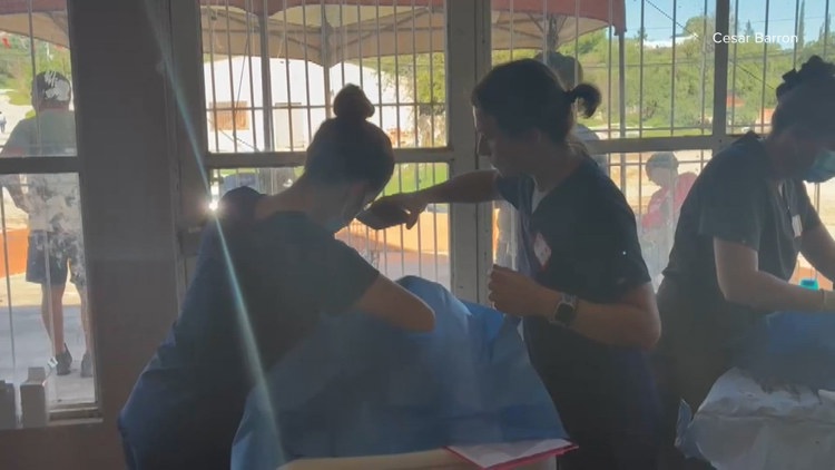 Abandoned pets in small Mexico town receive free veterinary care from volunteers