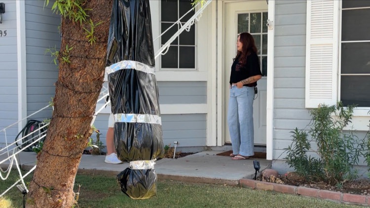 Mesa neighbors clash over Halloween decoration one says resembles a lynching