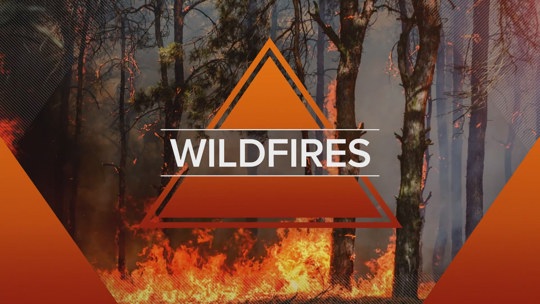 Wildfire risk soars in Tennessee amid dry weather | rocketcitynow.com