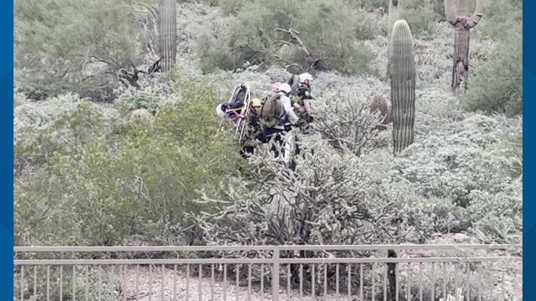 Hiker struck by falling cactus on Scottsdale trail, fire official says