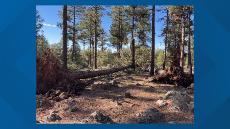 Third tornado touched down in Arizona during recent severe storms, NWS confirms