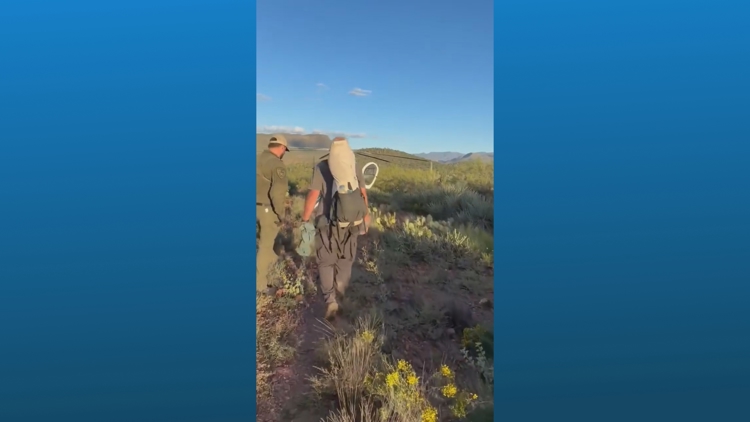 Hiker rescued after being stranded in Arizona wilderness for 7 days