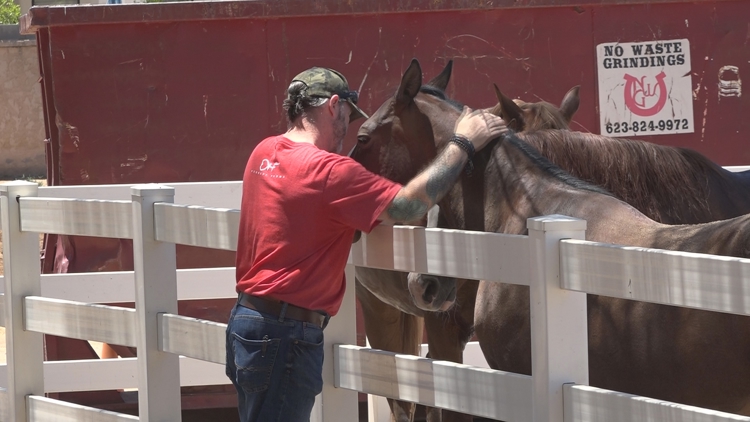 Horses rescued from death row help first responders heal from trauma