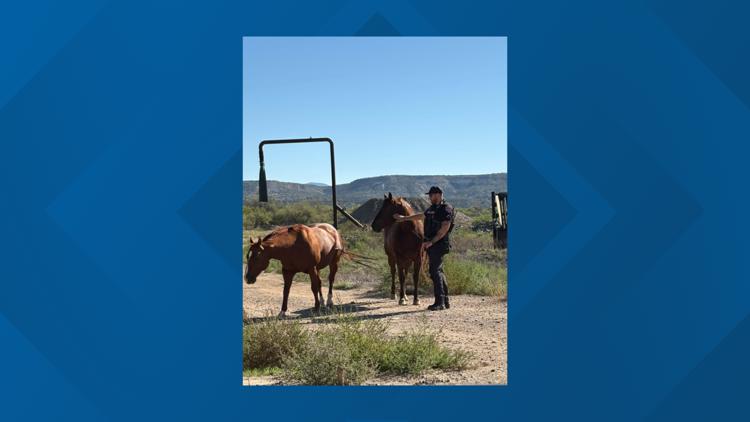 Deputy detains loose horses in Camp Verde