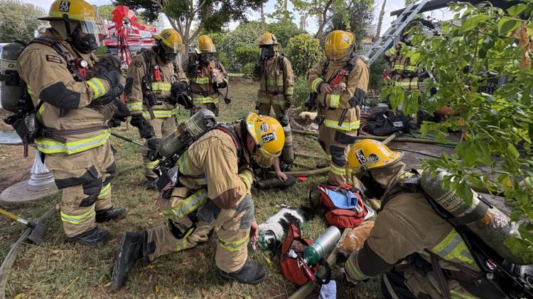 3 dogs, 3 cats rescued from Phoenix house fire with Fido bags