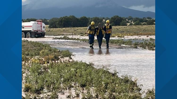 Arizona crews rescue couple and 7 dogs during 'dangerous swift-water emergency'