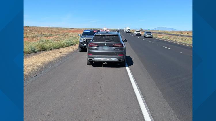 Wrong-way driver in Arizona tells police he was playing a new game, DPS says