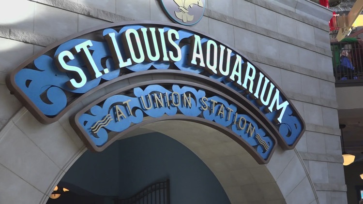 Measles exposure warning for visitors at St. Louis Aquarium last week