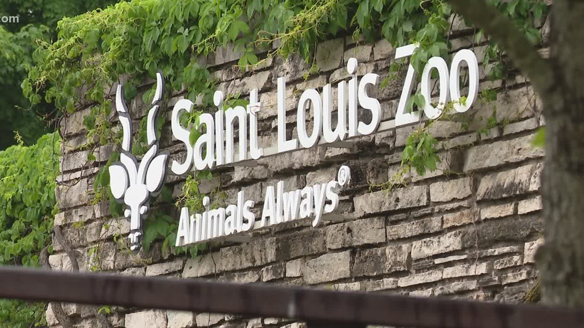 St. Louis Zoo&#39;s &quot;Night at the Zoo&quot; events | www.bagssaleusa.com