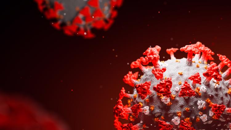 New variants raise worry about COVID-19 virus reinfections