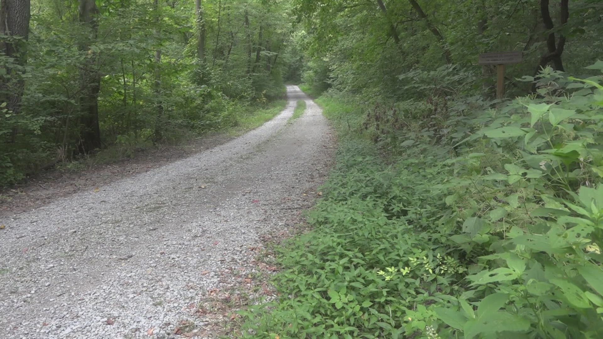 Massive Illinois snake migration shuts down miles of road | wqad.com
