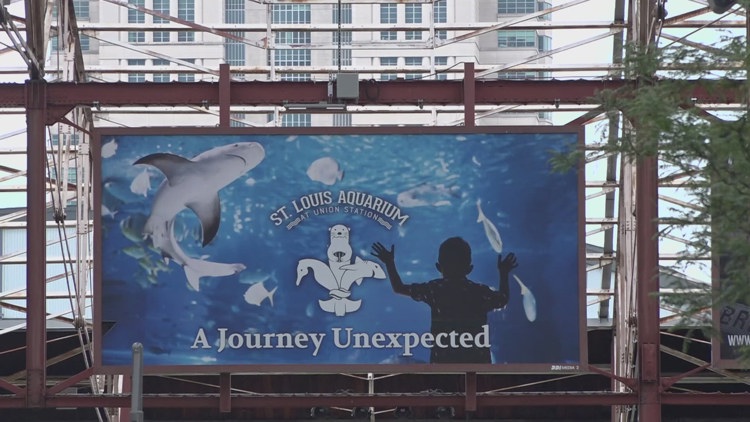 Unvaccinated Illinois resident exposes unknown number of St. Louis visitors to measles