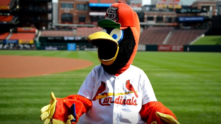 Fredbird eyes Mascot Hall of Fame induction after 44 years with Cardinals