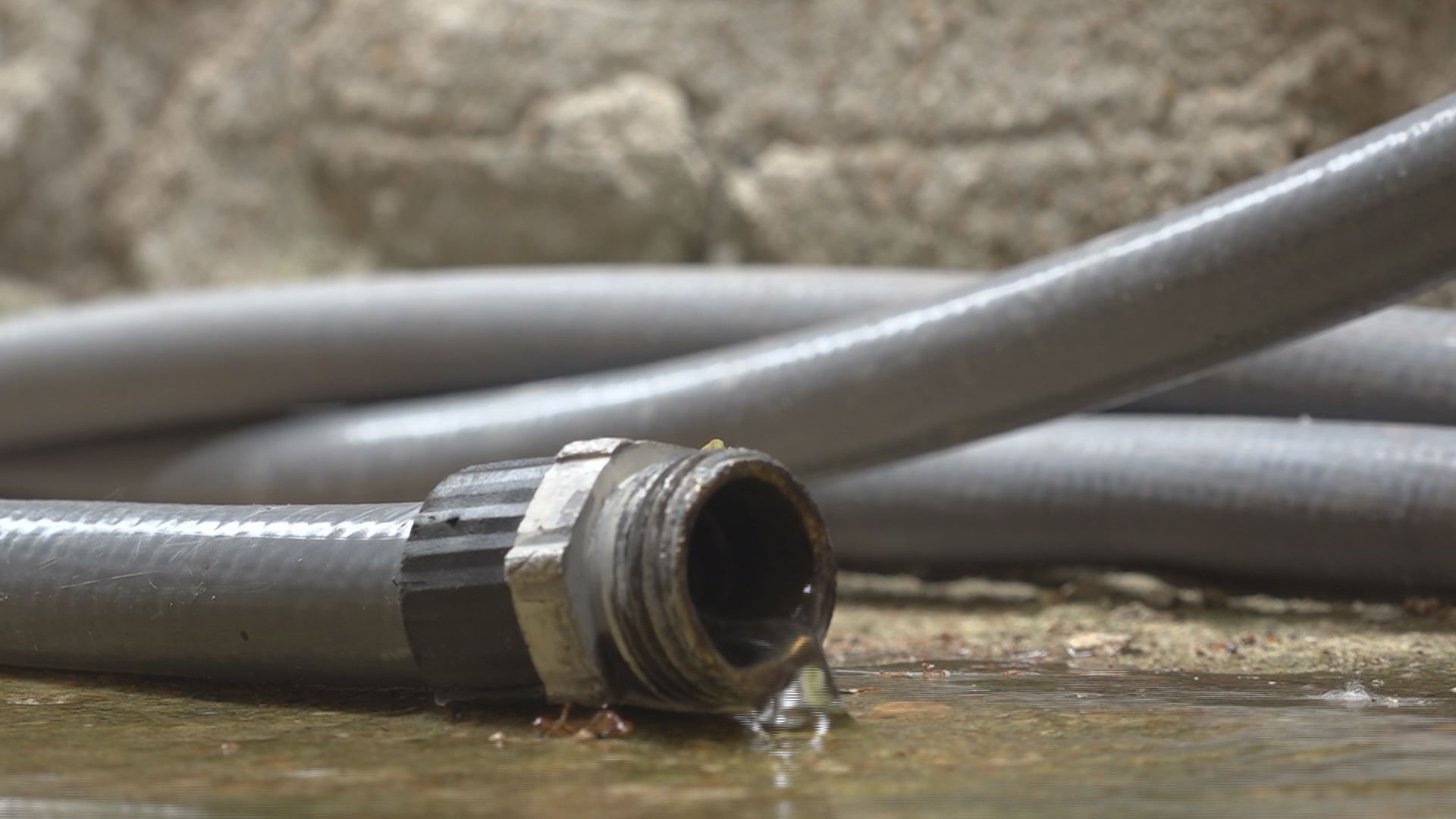 Drought Watch Issued For 36 Counties Across Pennsylvania | Fox43.com