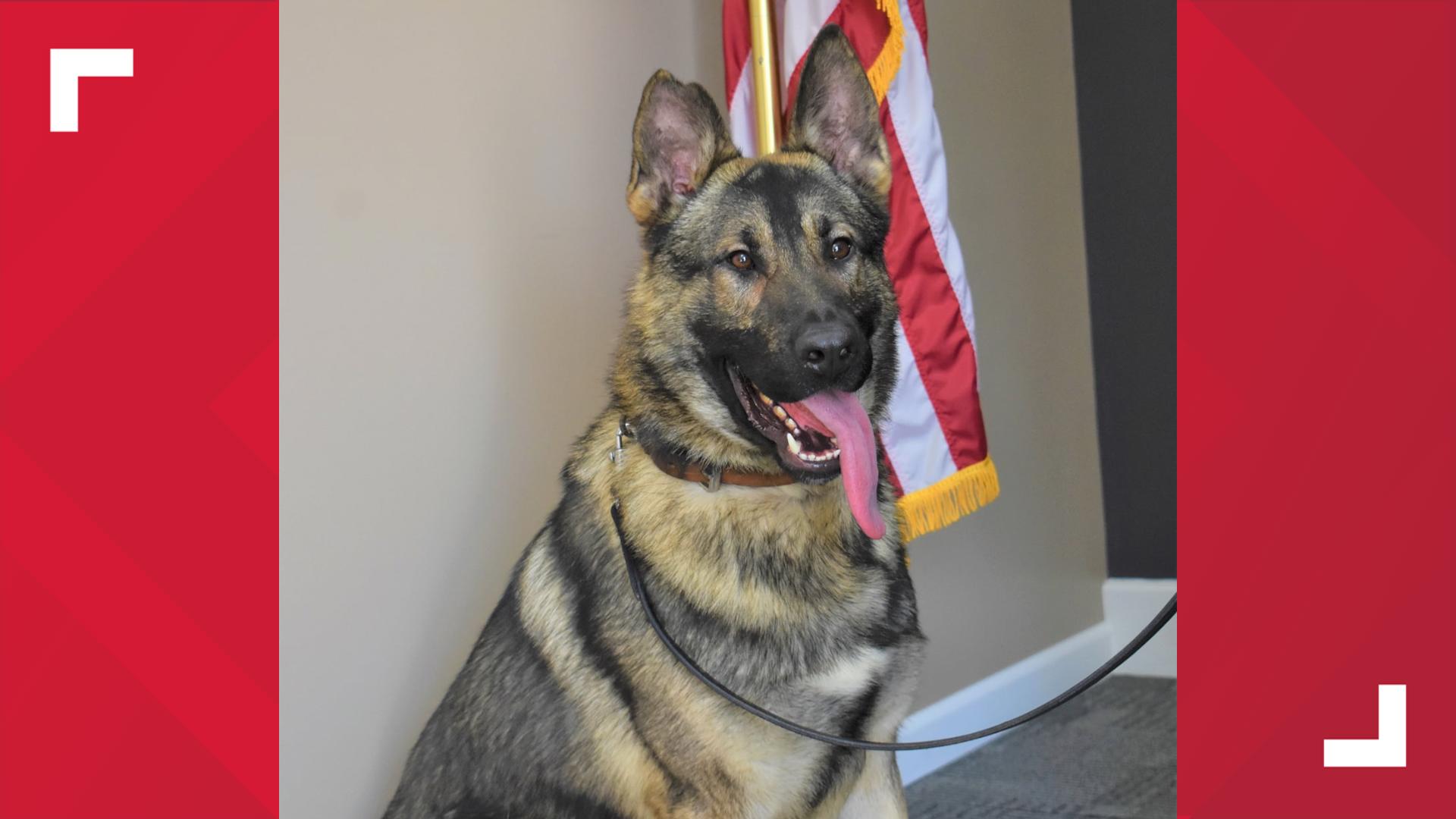 Missouri police dog dies in hot car | wqad.com