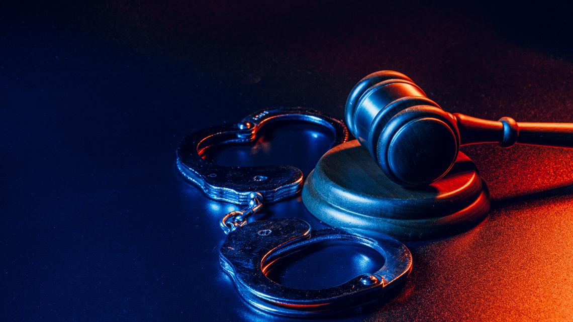 Lancaster woman sentenced to probation for assaulting neighbor, killing puppy - Vimarsana News