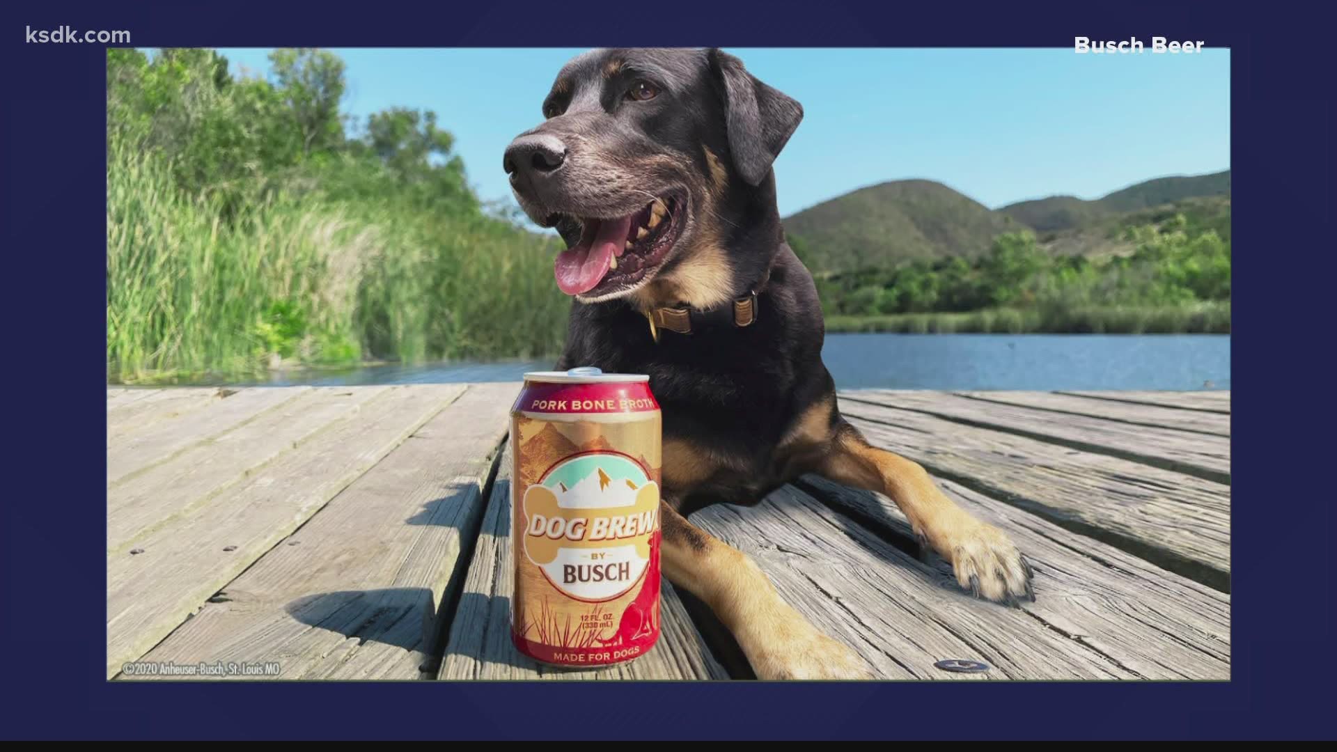 The “beer” is actually alcohol-free and is more like a bone broth treat for pets.
