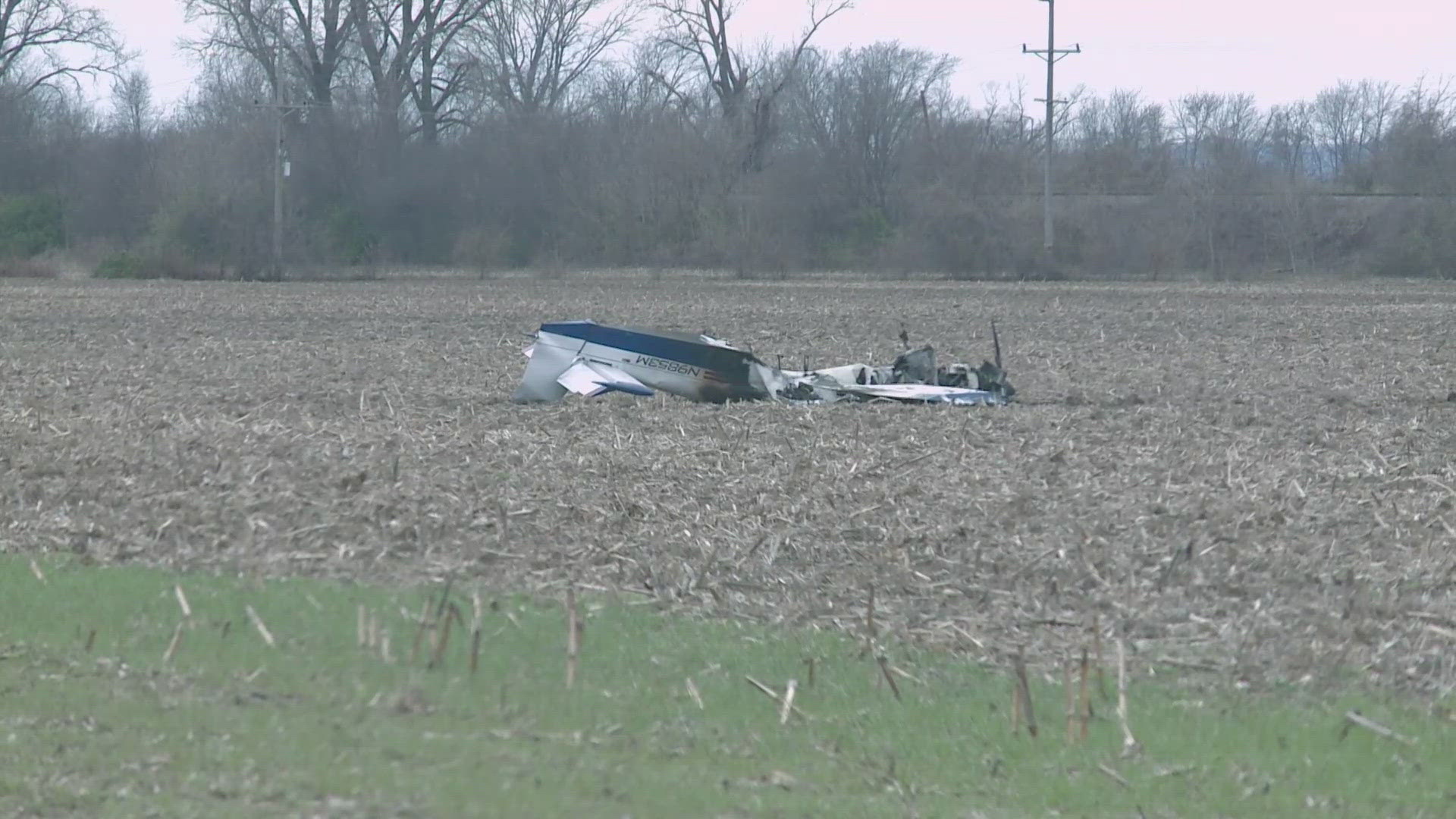 The pair dashed across a farm field and ran to do everything they could to save the injured pilot.