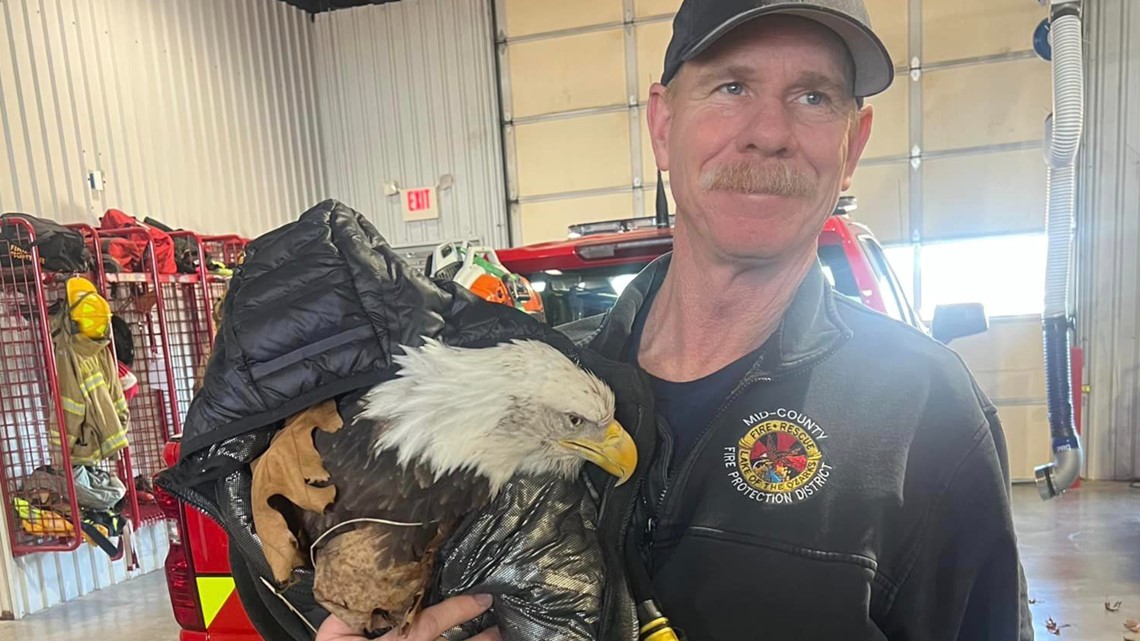 Firefighters rescue bald eagle during emergency helicopter call