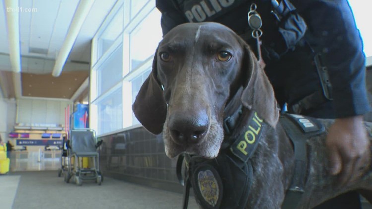 Meet Olga, the K9 officer working to keep holiday travelers safe