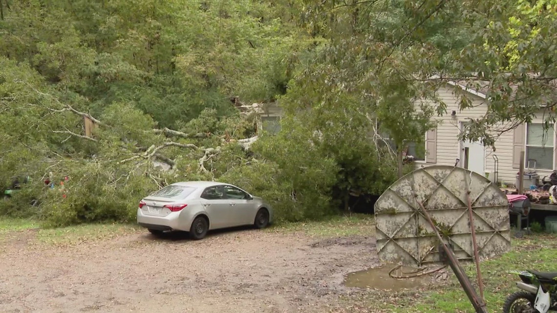 Arkansas woman dies after tree falls on home | 5newsonline.com