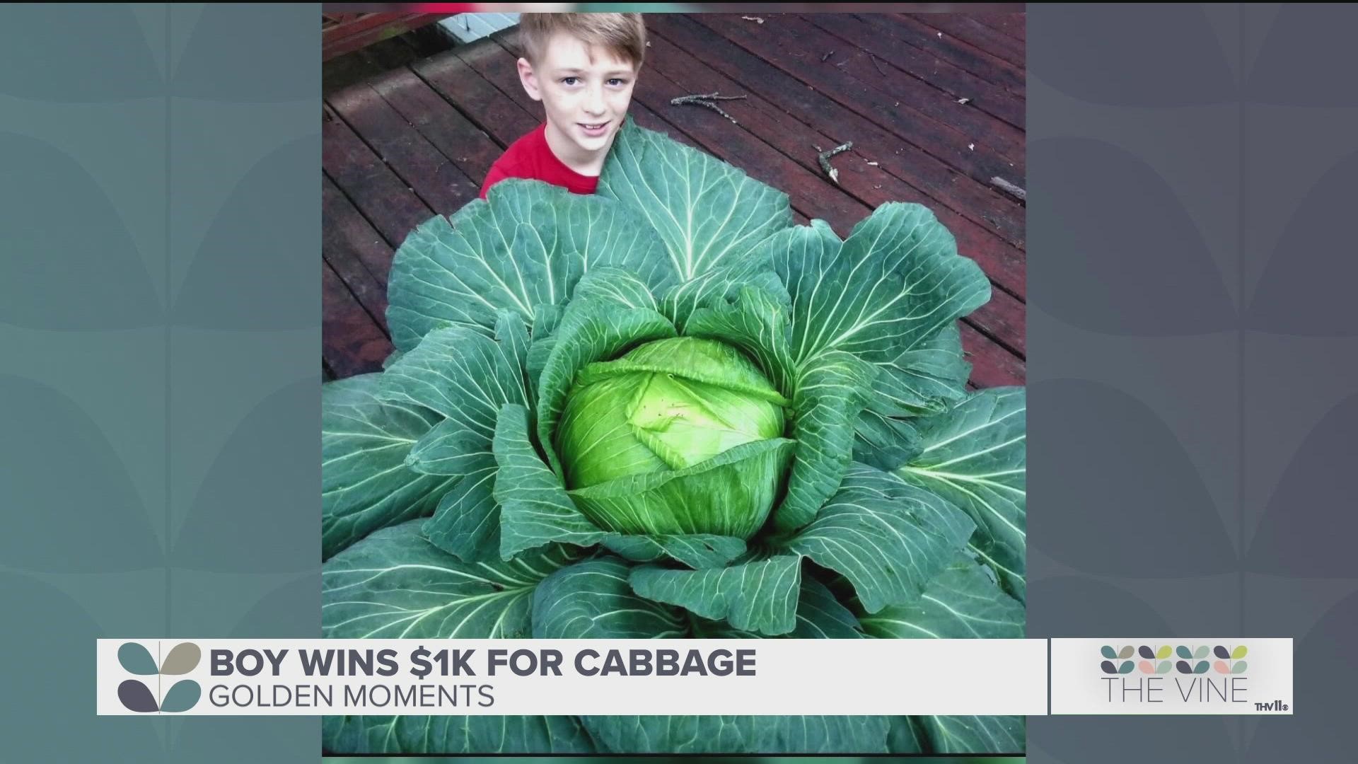 Marshall Furqueron in North Little Rock was awarded a $1,000 scholarship for a cabbage he grew.