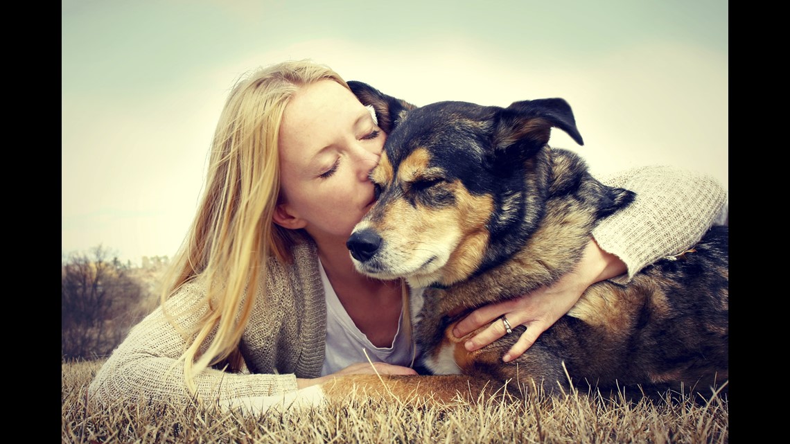 ruth steinert adoptable dogs
