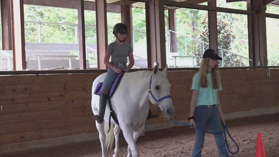 'Healing Hooves' uses horses to help mental and physical health