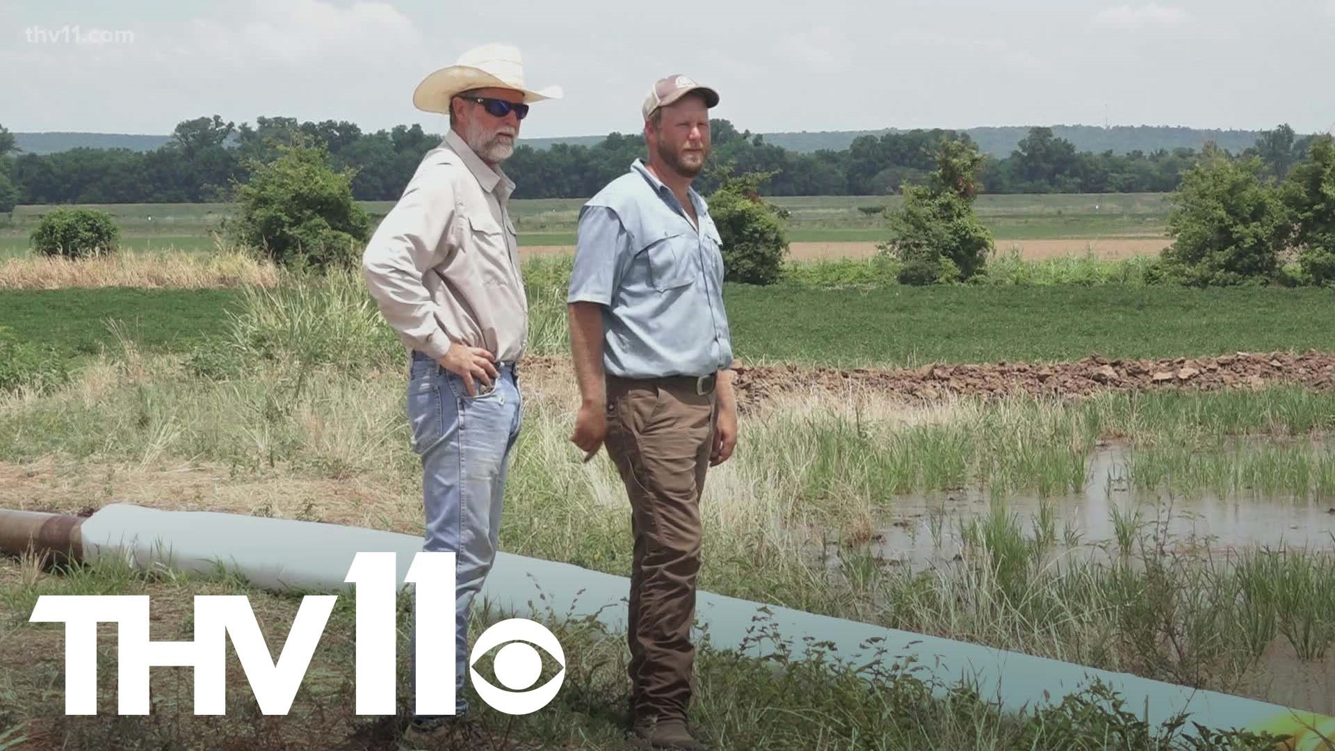 Arkansas farmers are being impacted by the drought— higher costs to maintain their crops.