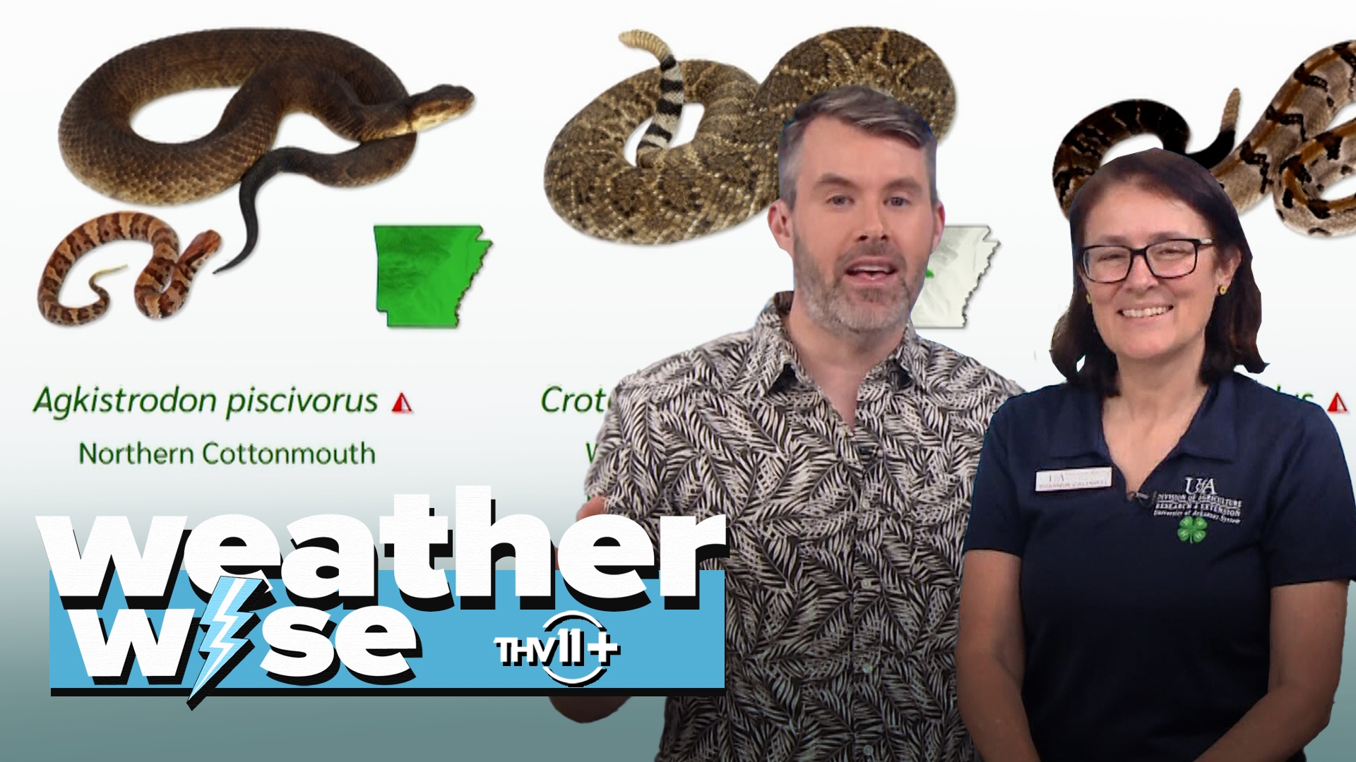 In this episode of Weather Wise, Nathan Scott does a deep dive to demystify the fear around snakes and the vital roles they play in the environment.