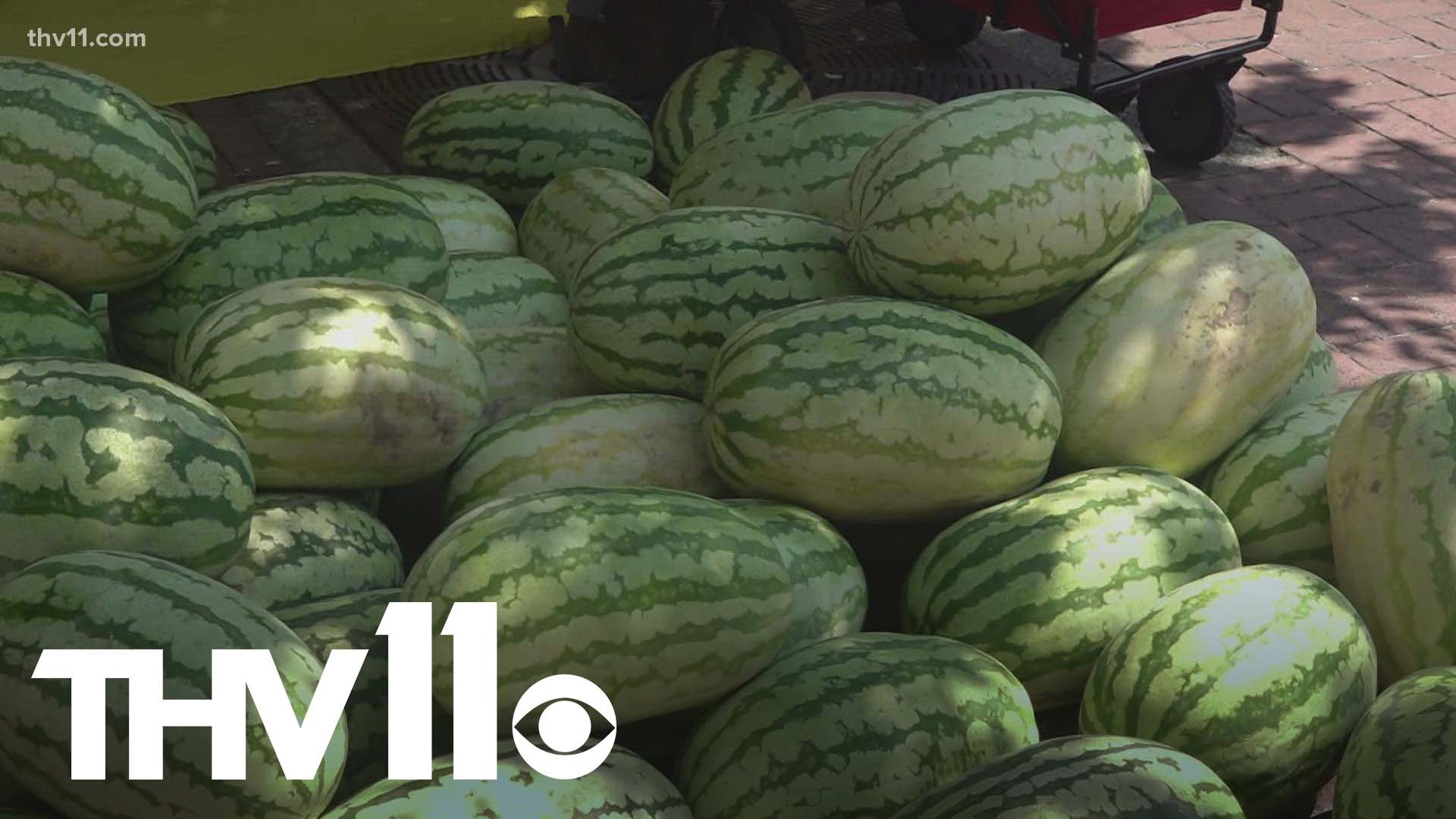 Farmers are taking advantage of the heat— since it's actually the ideal condition for growing watermelons.